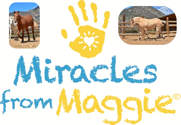 Miracles From Maggie Therapeutic Horses
